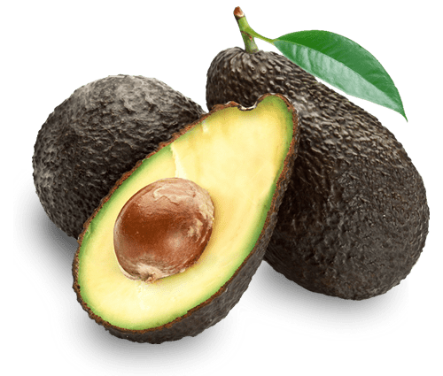 palta hass la mayorita