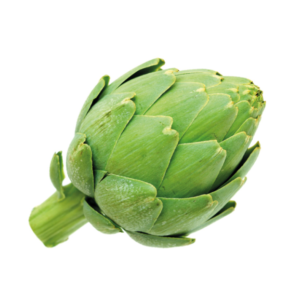 Alcachofa la mayorita