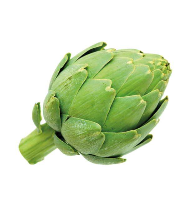 Alcachofa la mayorita