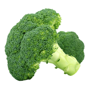 Brocoli La Mayorita