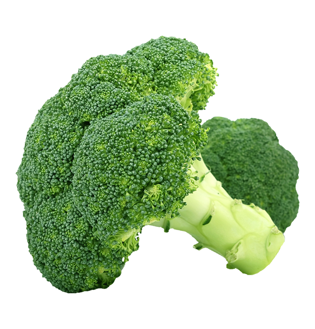 Brocoli La Mayorita