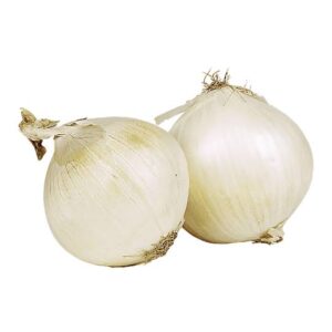 Cebolla blanca La Mayorita