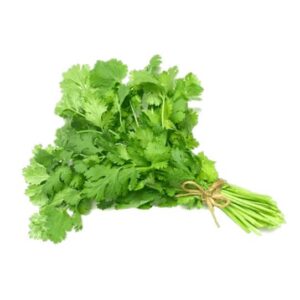 Culantro La Mayorita