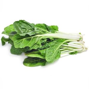 acelga