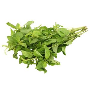 Albahaca la mayorita