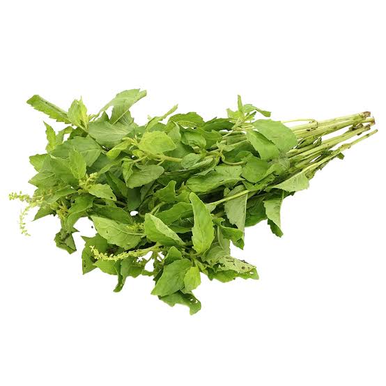 Albahaca la mayorita