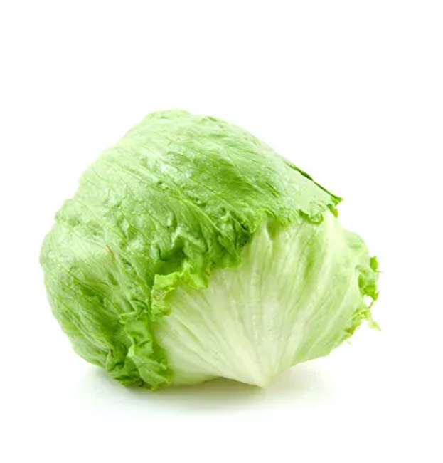 lechuga americana la mayorita