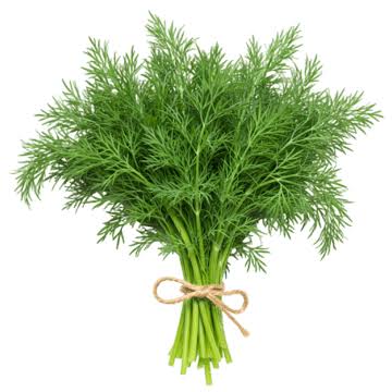 menta la mayorita