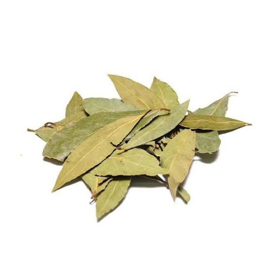 Hoja de laurel la mayorita