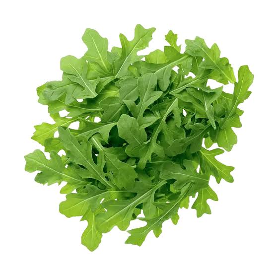 Arugula La Mayorita