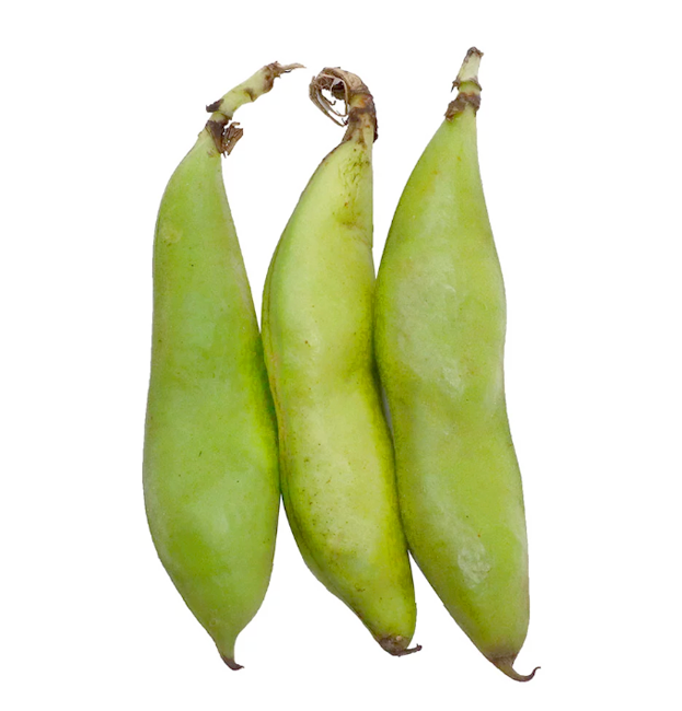 Haba Verde la mayorita